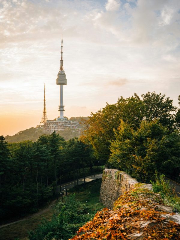 robson-hatsukami-morgan-ku9Ftte6Ymo-unsplash