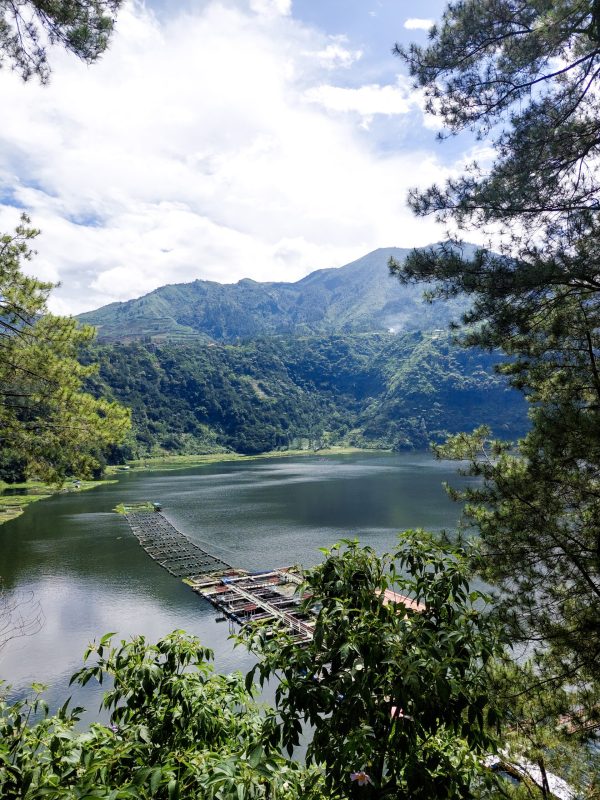 vecteezy_menjer-lake-is-one-of-the-lake-tourism-destinations-in-dieng_11731836